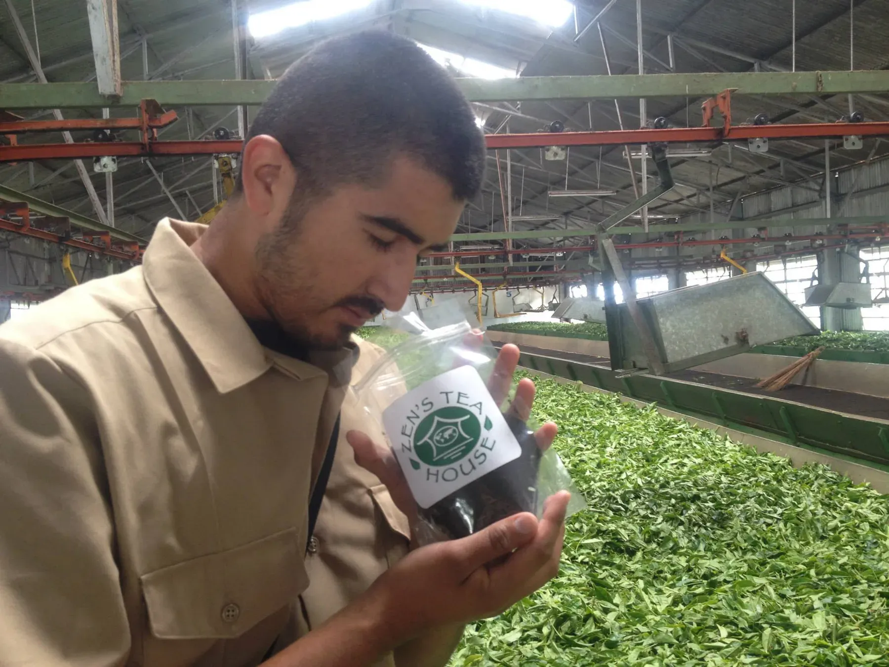 Inspecting a jar of tea leaves in a tea factory