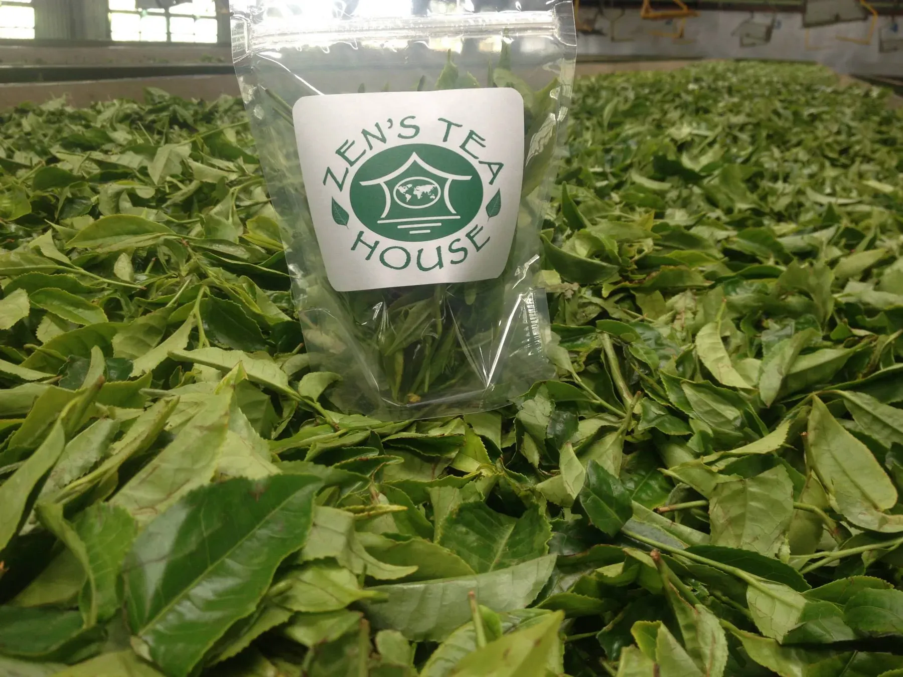 A Zen’s Tea House bag on fresh tea leaves