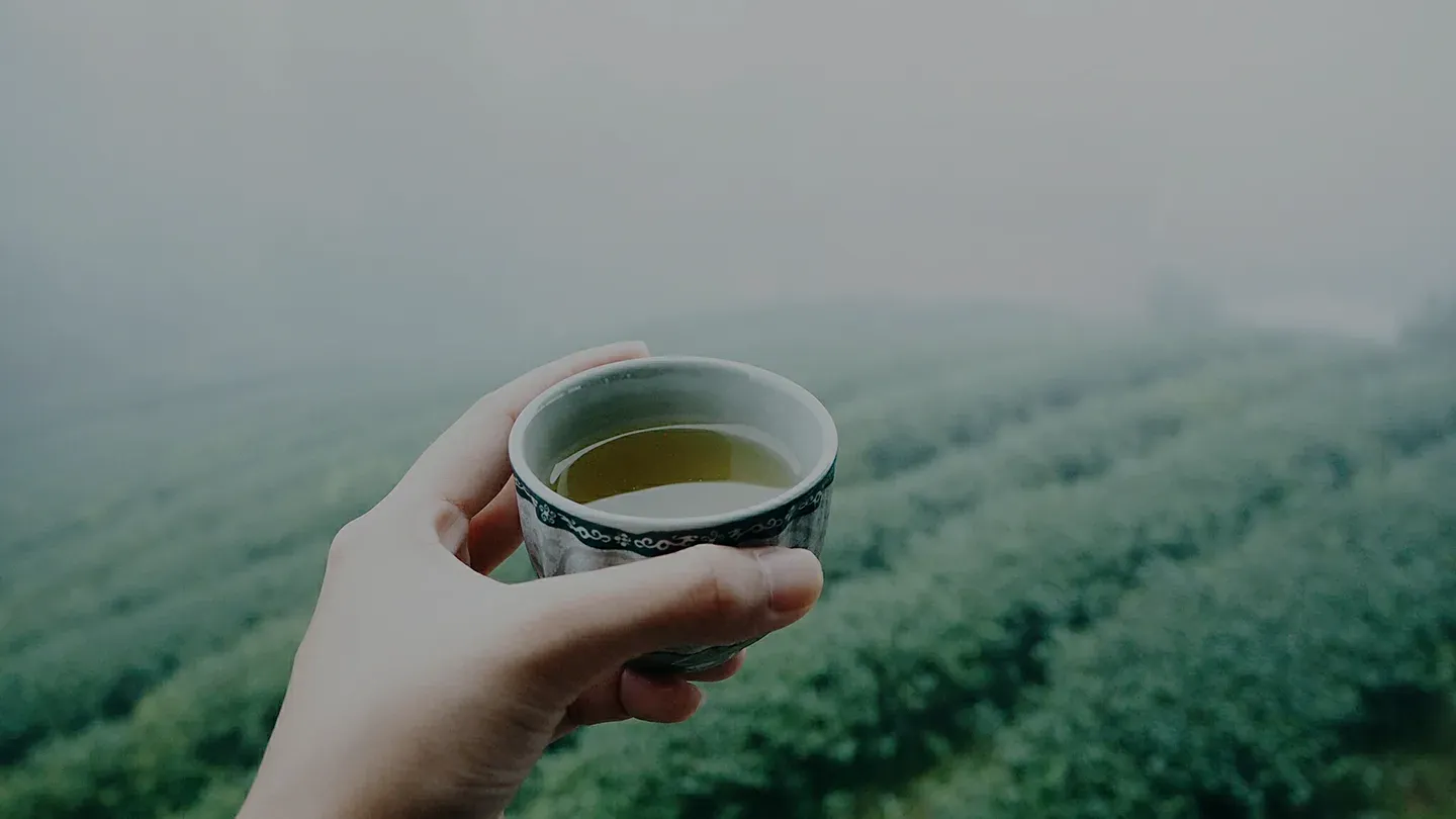 A cup of green tea held over a tea field