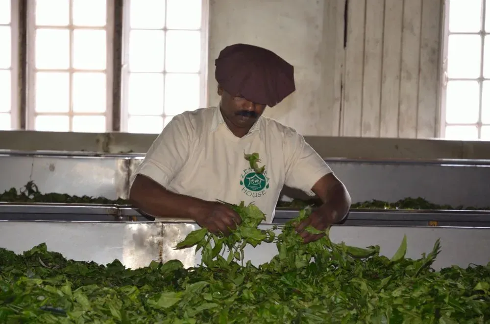 Hand assembling tea products