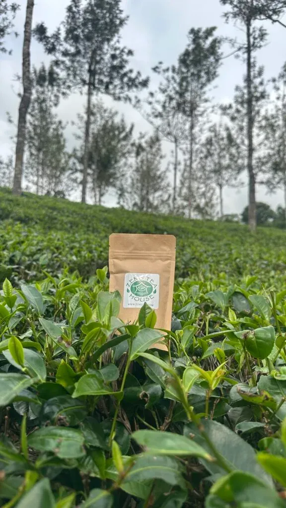 A Zen’s Tea House bag among tea bushes